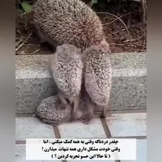 برای من خیلی آشناست