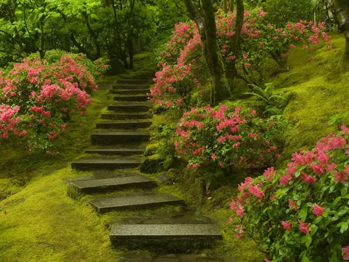 پله سبز گل چمن
