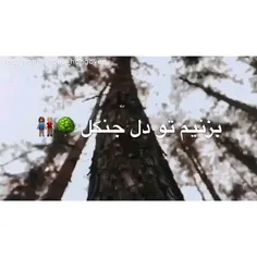 تَنٖگٖهٖـ دِلَمٖ آٖخِٖهٖـ⇙❪ 🖤 ❫⇘