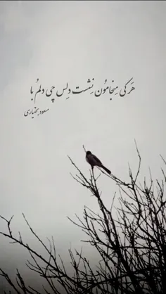 و روزی که تو 