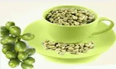 قهوه ی سبز در لاغری معجزه و از دیابت و بیماریهای کبدی جلو