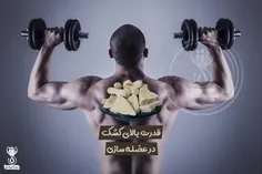 قدرت بالای کشک در عضله سازی !👌 🏻 