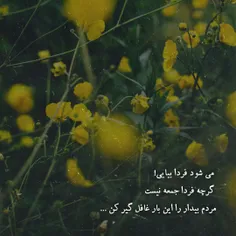 می‌شود فردا بیایی! 