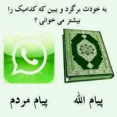 گوناگون ali1300 1270397