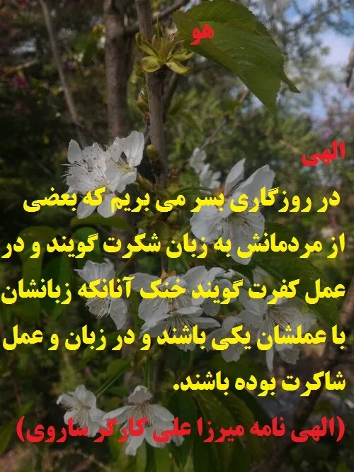 الهی در روزگاری بسر می بریم که بعضی از مردمانش به زبان شک