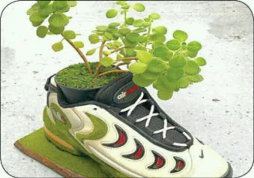 گلدان هایی از جنس کفش کتانی! یک هنرمند ژاپنی خلاق از کفش 