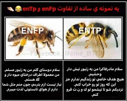  mbti_349 51361098 - عکس ویسگون