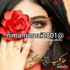 nima.norozi2801 52293439