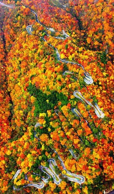 این جاده ی رویایی در ژاپن می باشد.جاده زیبای ایروهازاکا د