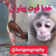 خداقوت پهلوان 😄✊