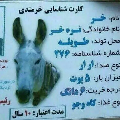 کارت شناسایی استفراغی ها😂 😂 😂 😂 😂 😂 😂