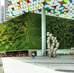 #دیوار_سبز ورودی فروشگاهی در#سنگاپور