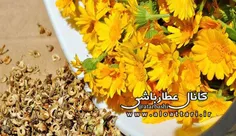 خواص گل همیشه بهار برای سلامتی