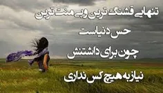 به هیچ خری احتیاج ندارم جز یه نفر...