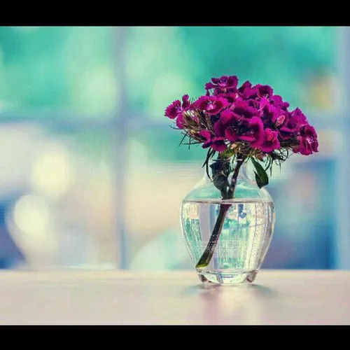 زندگی با گلی مثل تو چه لذتی دارد.