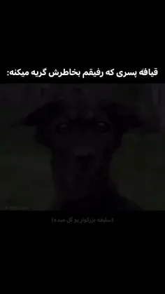وایییییییییییی