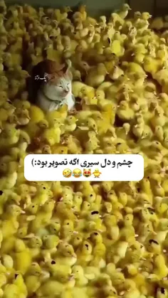 😂
