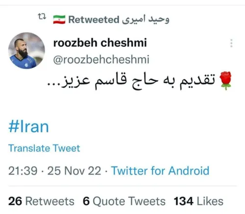 تا پای جان برای ایران 🇮🇷💚