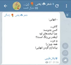 #سعید_فلاحی