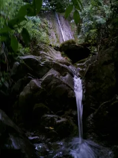stalli