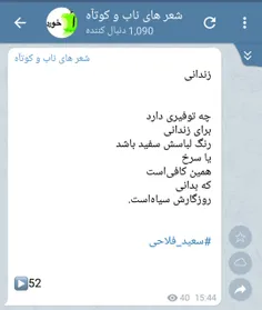 #سعید_فلاحی