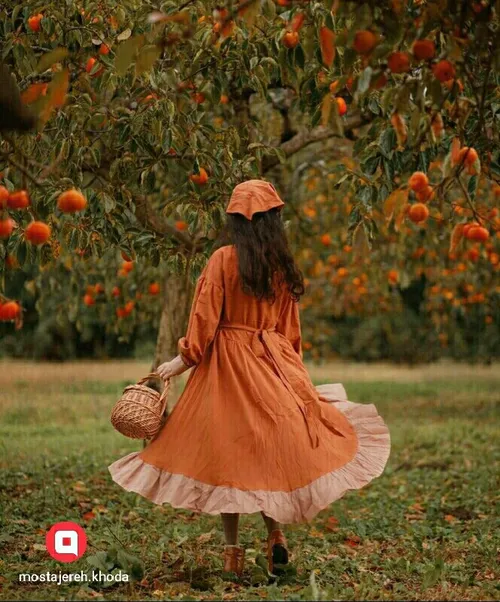 عشق مثل پرتقال...👌❤🍁