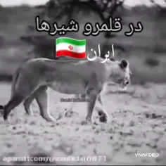 در قلمرو شیر ها ایران 🇮🇷👉♥️