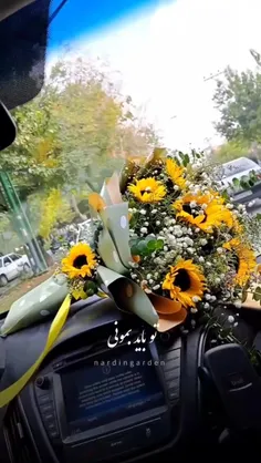 خنده‌هات تمام زندگی منه