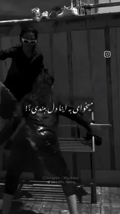 هعی مشتی دل نبندی به این جندها بهتره