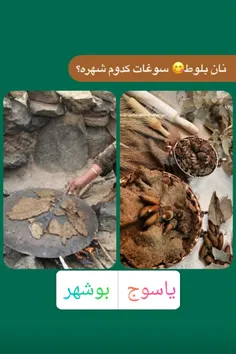 نان بلوووط چی؟؟؟😆😜