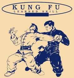 ورزش قهرمانی kungfu 30635982