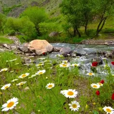 السلام علی المهدی ارواحنافداه 