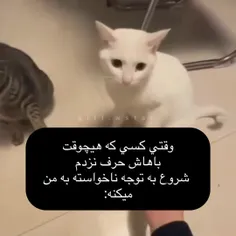 دقیقا 🤣🤣