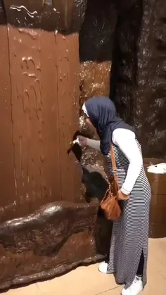 آبشار شکلاتی در استانبول ترکیه 🇹🇷 🍫 