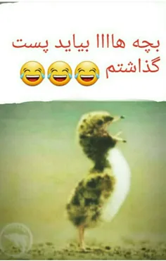 جییغغغ 😂😂😂