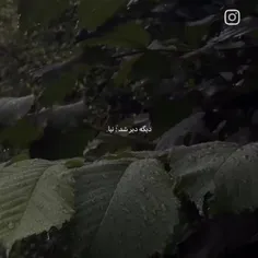 میشه برگردی؟🙃