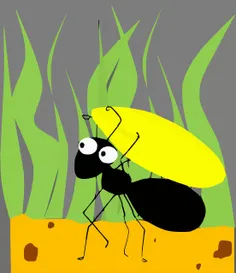مورچه ها برای جلوگیری از سبز شدن دانه ها در لانه هایشان ،