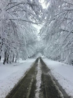 جاده زیبا و جنگلی کدیر، کجور