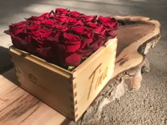 🌹 🌹 🌹 🌹 🌹