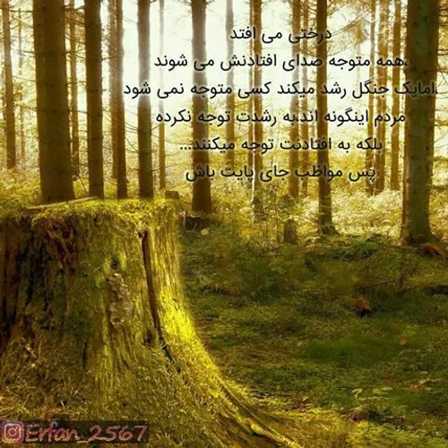 عاشقانه ها m.nozari 22752344 - عکس ویسگون