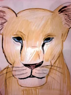 نقاشی نالا در فیلم شیر شاه 