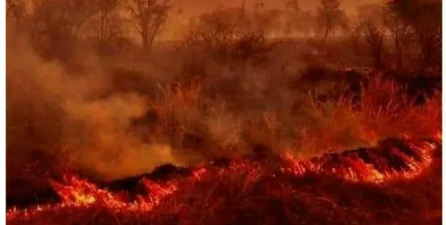 آتش سوزی استرالیا تا الان جان چندین نفر رو گرفته، چند میل