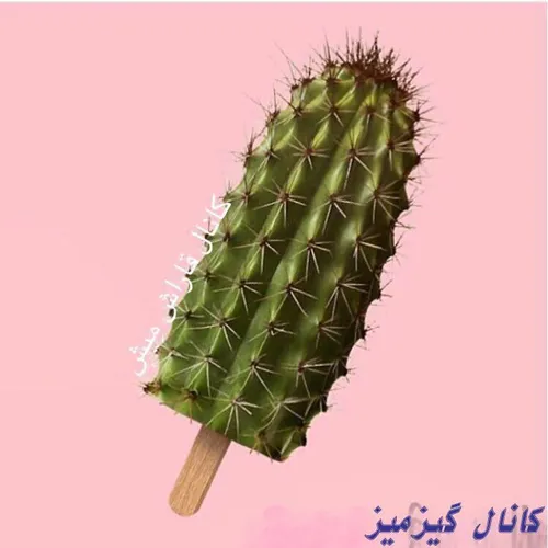 بفرماید بستنس