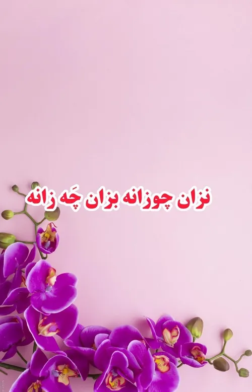 یه ضرب المثل کردی که جدیدن تو یه سریال کردی فهمیدم 😃😃😃😃