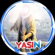 yasi_n313