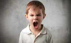 عصبانیت ، بخشی از مغز را که مرتبط با صداقت است تحریک میکن