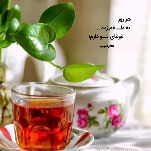 ♥️🍃روی آوردن به اهل بیت(علیهم السلام)