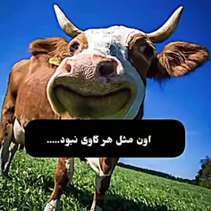 اون یه پری بود....