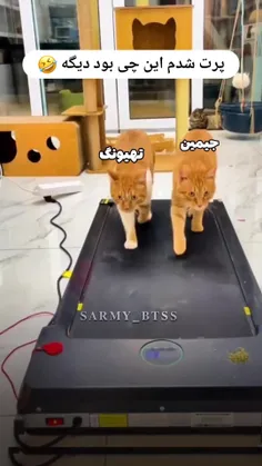 پس باهم غلط کنیم