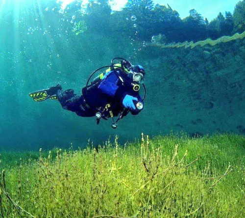 این عکس در زلال ترین دریاچه اتریش، گرفته شده. غواص در عمق